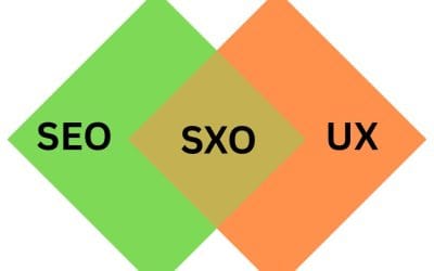 Surrey Langley Marketing Agency Search Experience Optimization (SXO) explained.